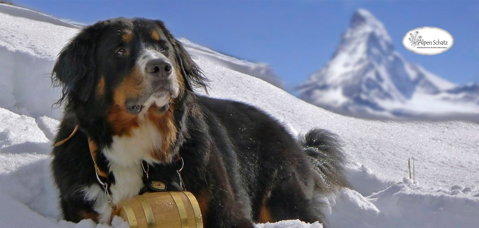 1 1/4 Medium Edelweiss Swiss Dog Collar – Alpen Schatz